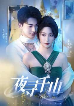 夜寻千山全集完整版免费在线观看未删减版，百度网盘夸克网盘免费资源秒存分享下载